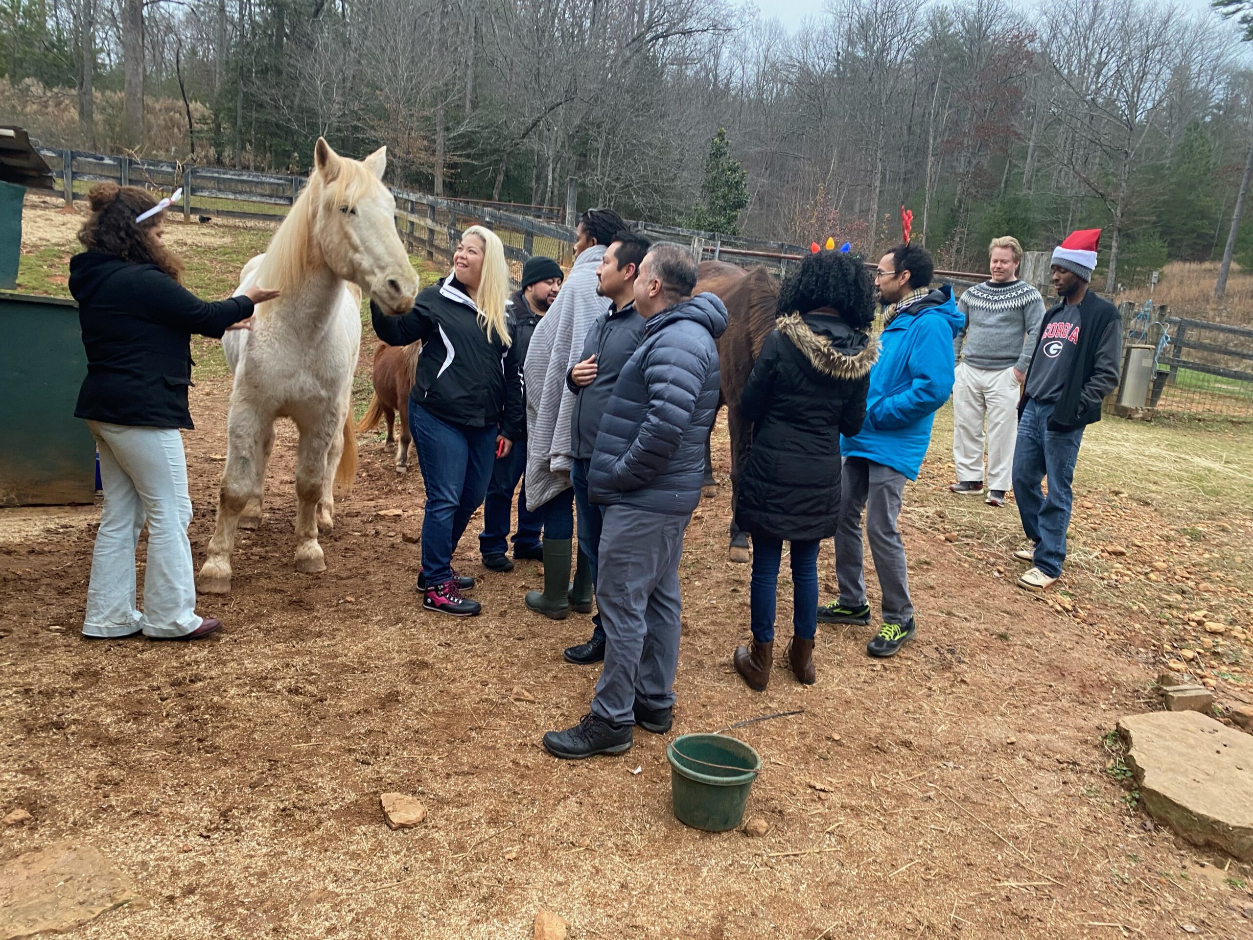 Group of people standing around a horse