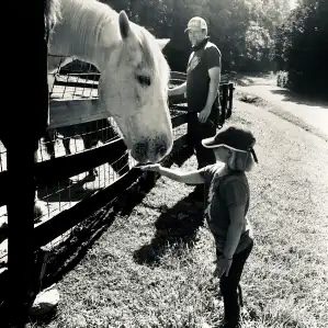 A child feeding a horse