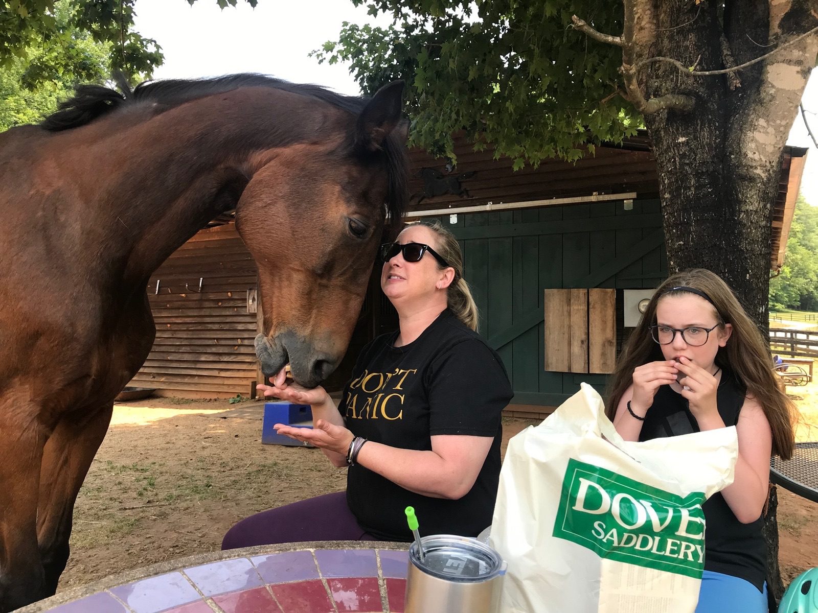 A woman feeding a horse