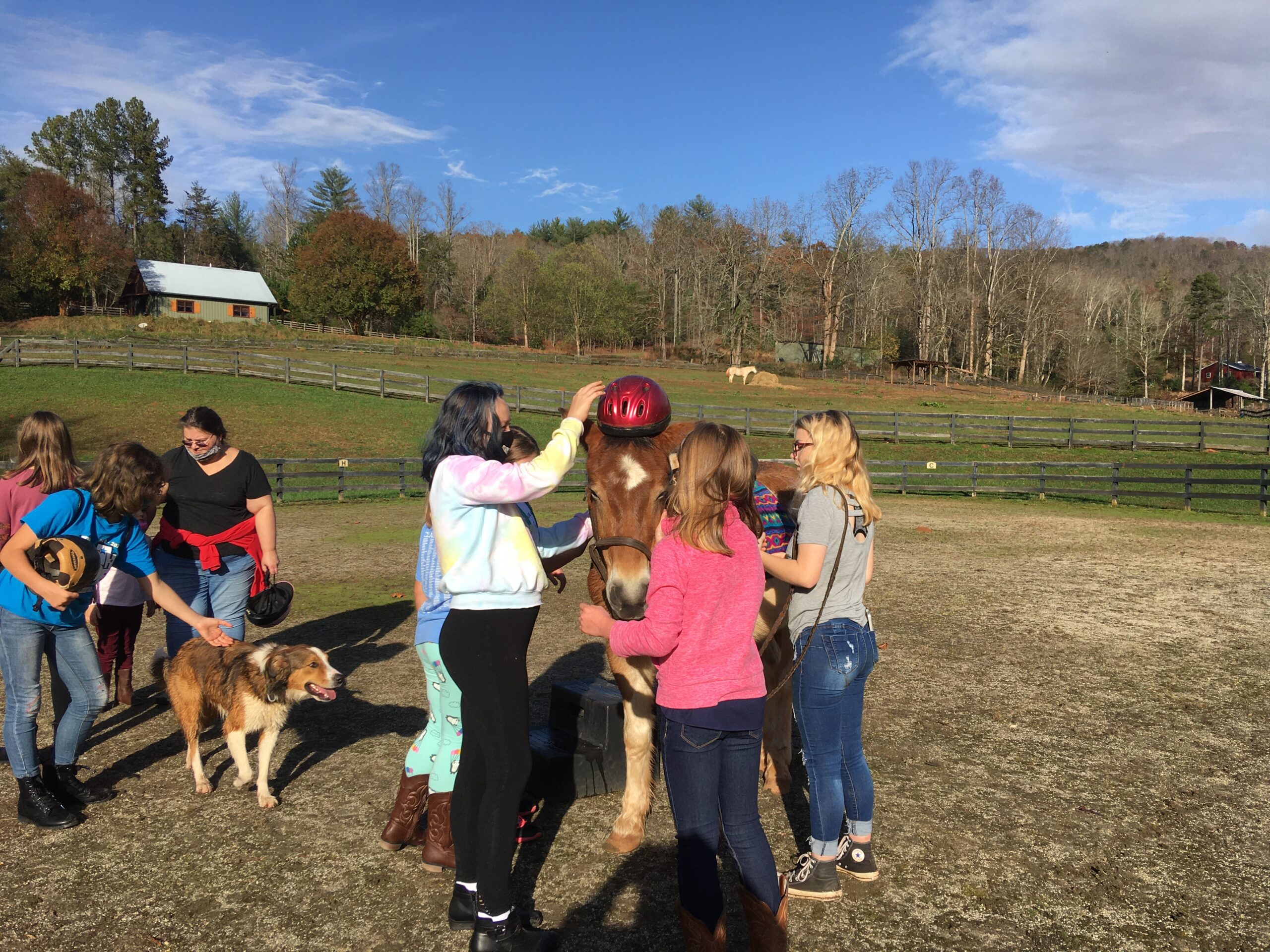 Group of people standing around a horse