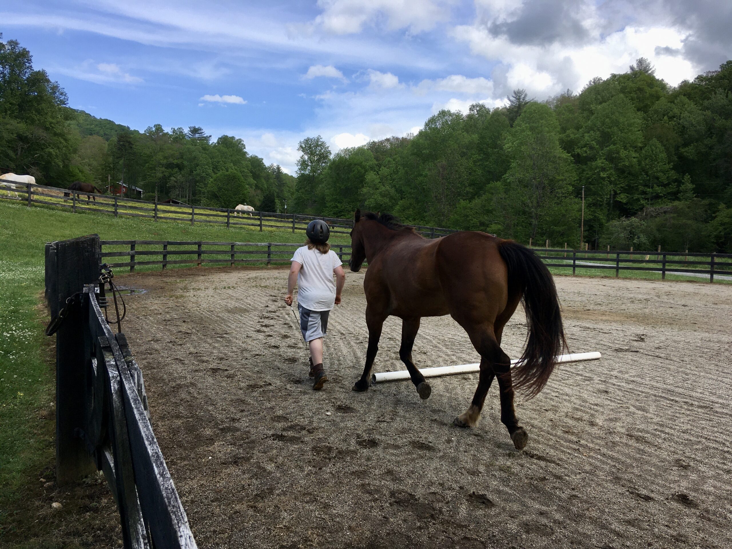 A person walking a horse in a dirt field