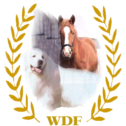 White Dog Farm - Currently Editing