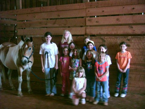 A group of children standing in front of a horse