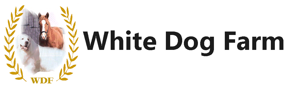 White Dog Farm - Currently Editing