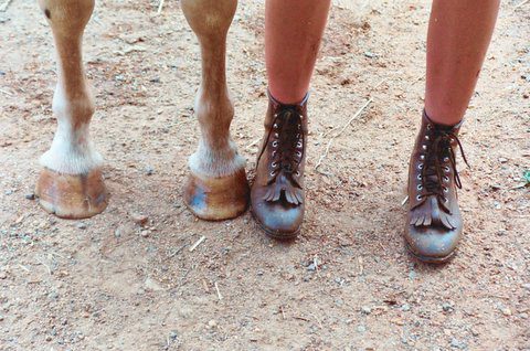 Horse Hooves And Human Hooves