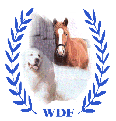White Dog Farm - Currently Editing