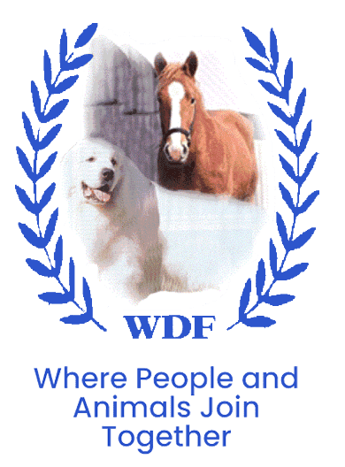 White Dog Farm - Currently Editing
